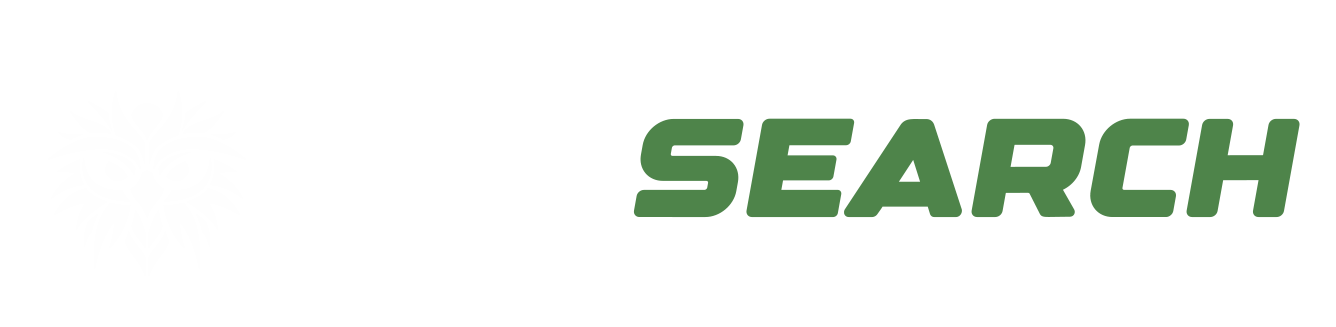RaveSearch
